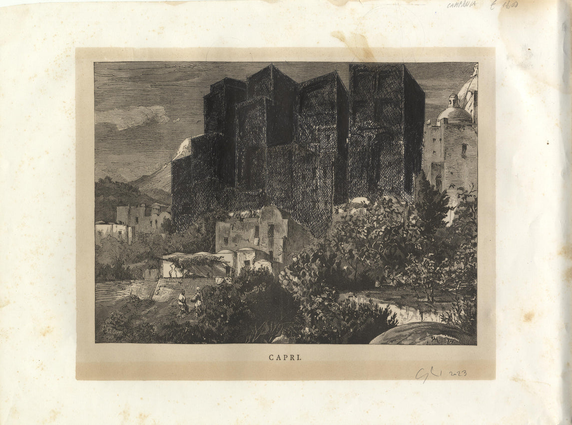 Senza titolo, 2023 (Capri)